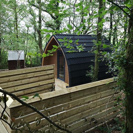 The Pod-Hot Tub-Woodland Lodges-St Clears-Carmarthen Exterior photo