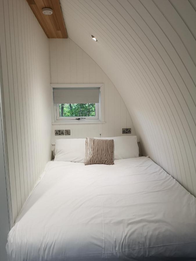 The Pod-Hot Tub-Woodland Lodges-St Clears-Carmarthen Exterior photo