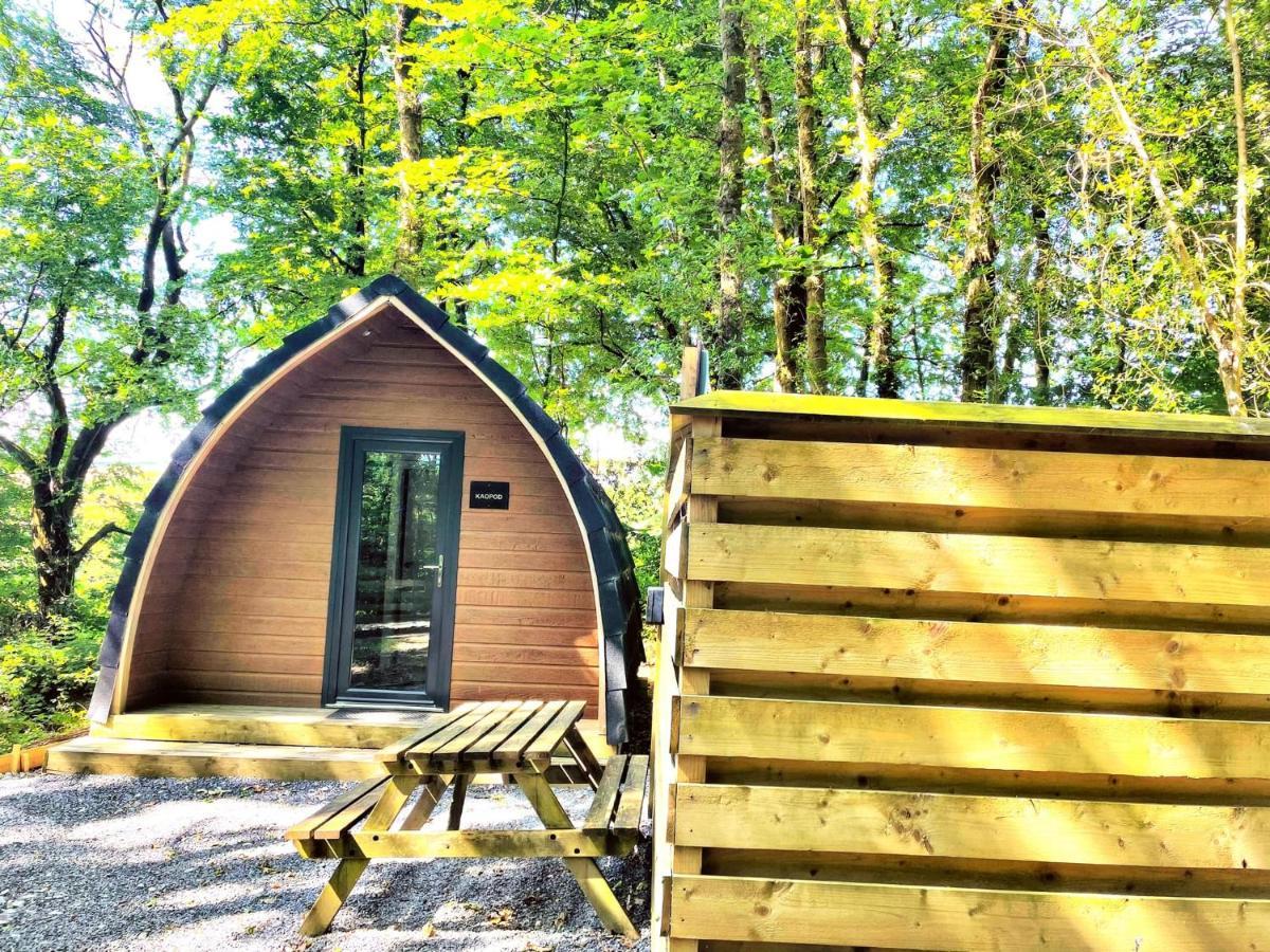 The Pod-Hot Tub-Woodland Lodges-St Clears-Carmarthen Exterior photo